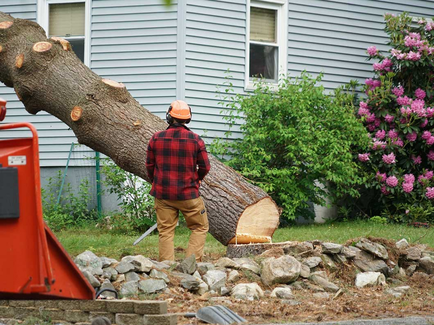 Emergency Tree Removal Springfield, MO Canopy Tree Service